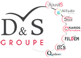 D&S groupe